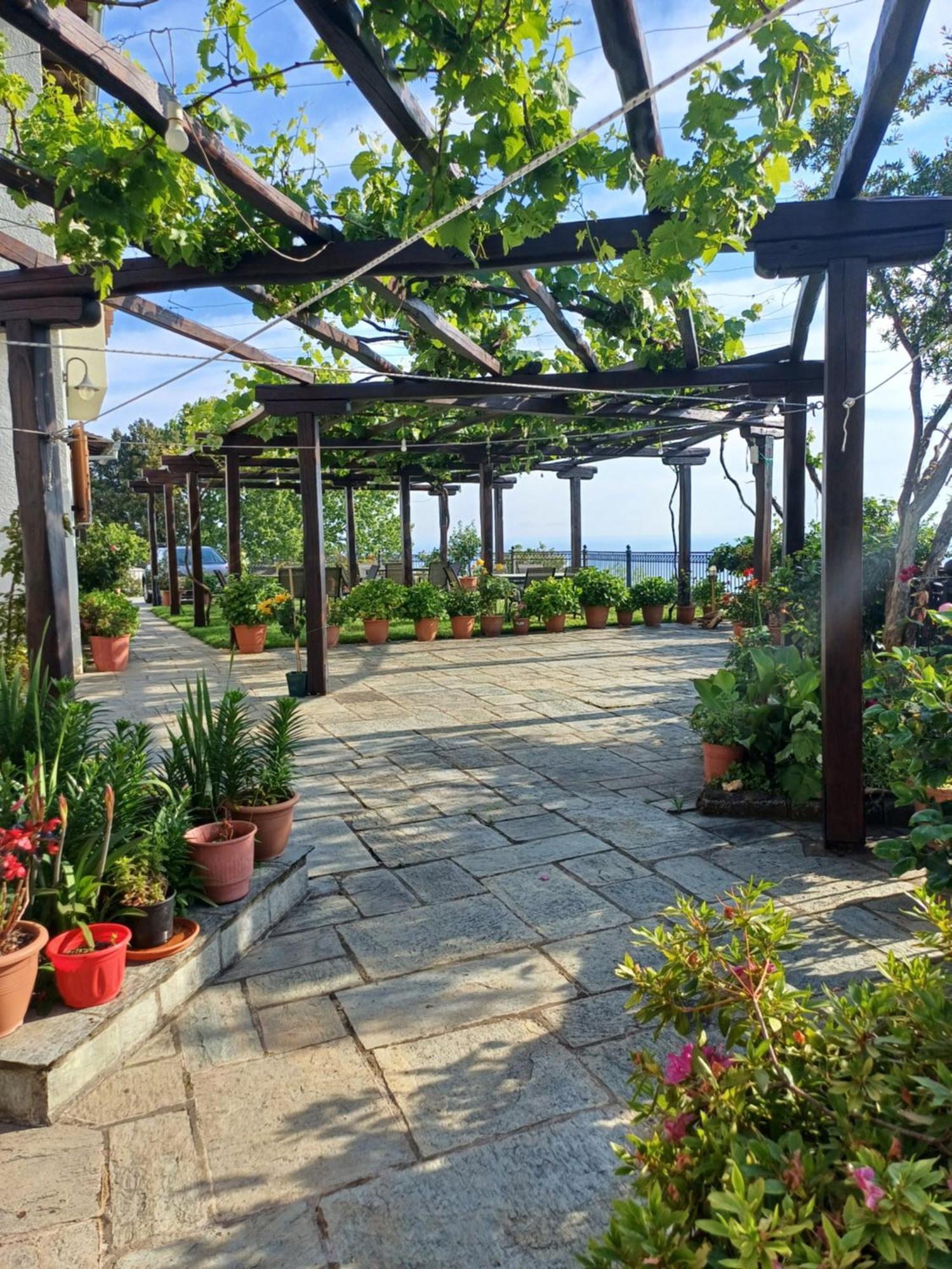 Olga Studios Tsagarada Exteriér fotografie