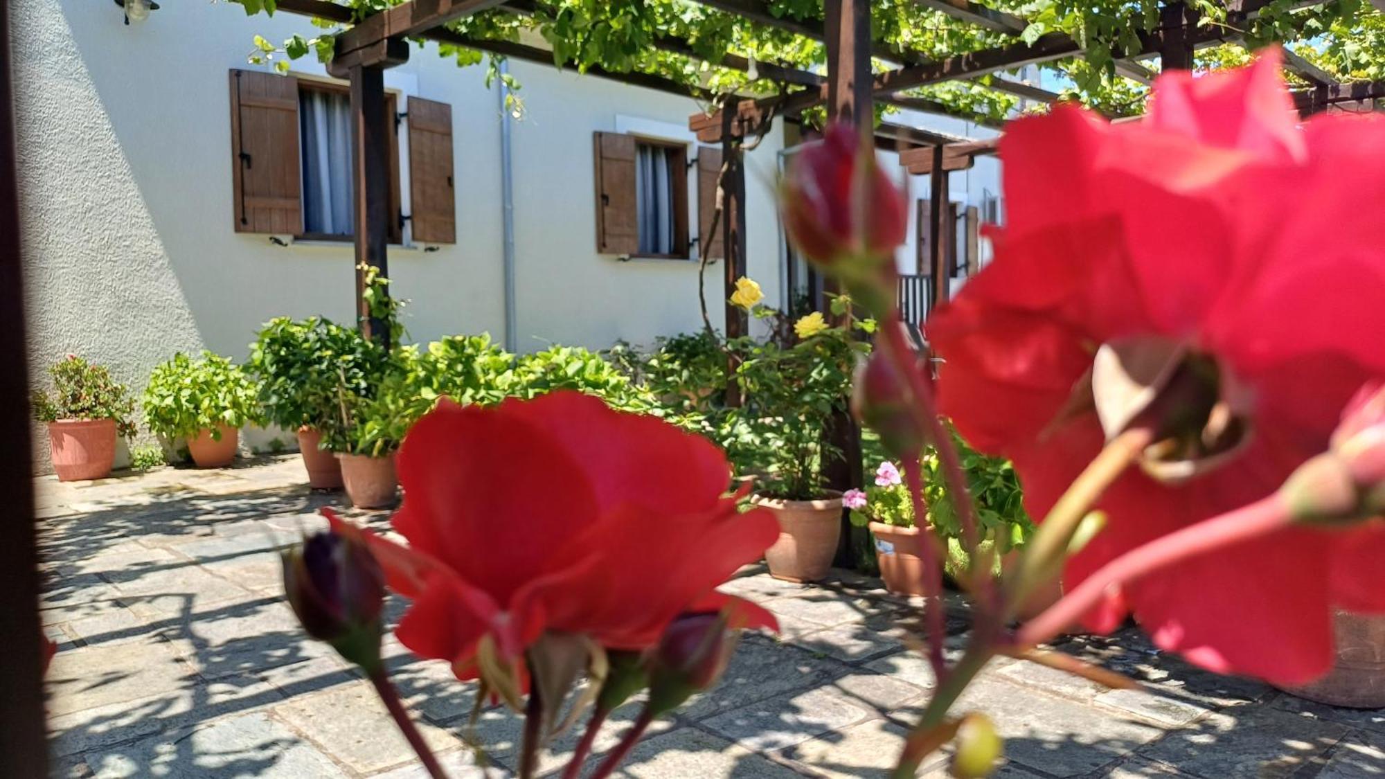 Olga Studios Tsagarada Exteriér fotografie